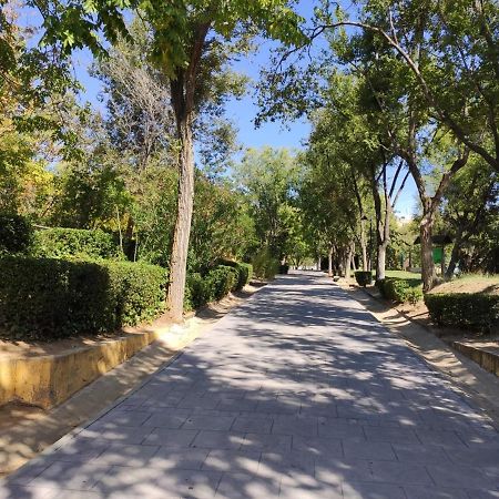 Apartamento Rosa Park Toledo Ngoại thất bức ảnh